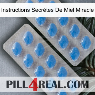 Instructions Secrètes De Miel Miracle 23
